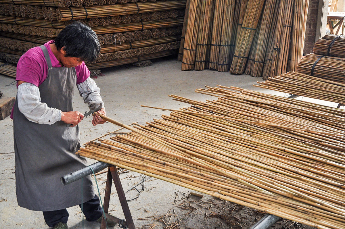 Pick bamboo